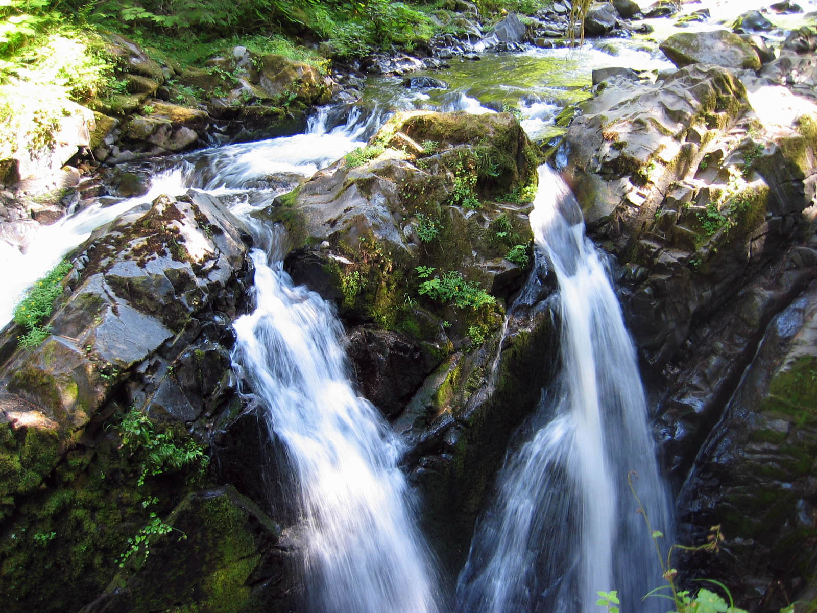 Clear mountain stream with rocks and forest along Icicle Creek in Washington